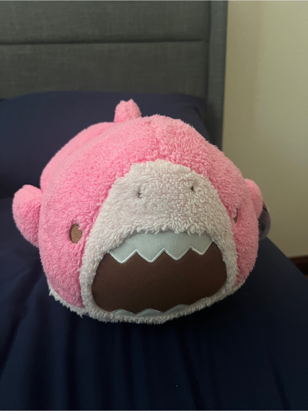 Pink Samezu Shark